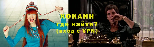 ПСИЛОЦИБИНОВЫЕ ГРИБЫ Снежногорск
