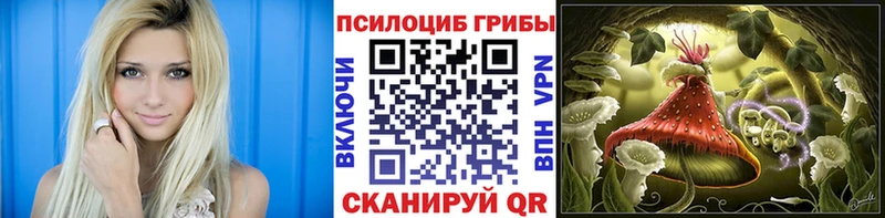 как найти закладки  Семёнов  блэк спрут tor  Псилоцибиновые грибы ЛСД 